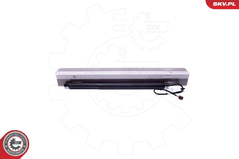 Electric Motor, tailgate